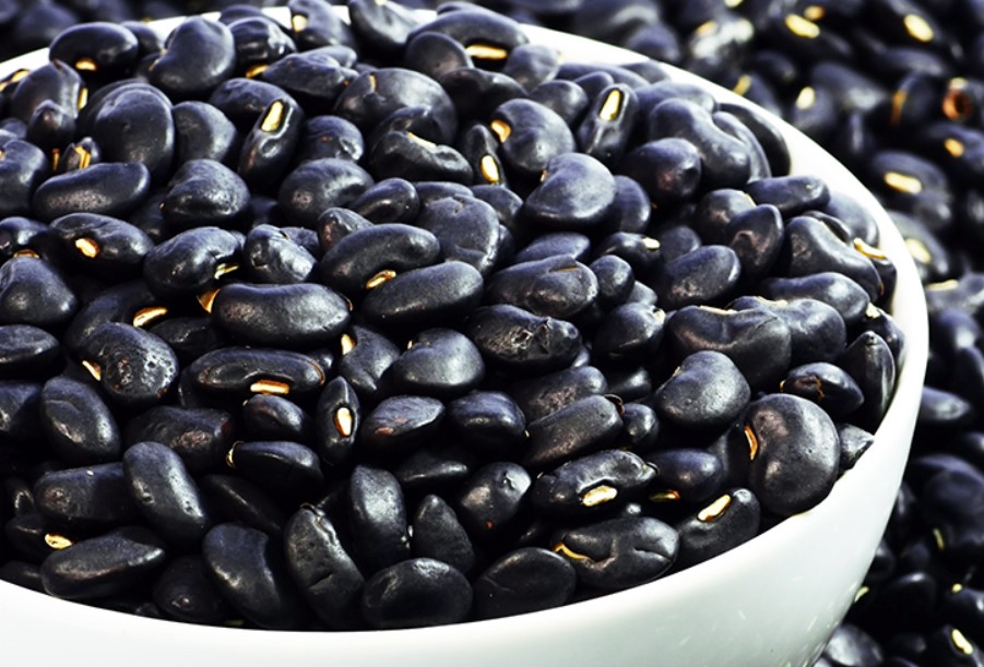 Are Black Beans Healthy