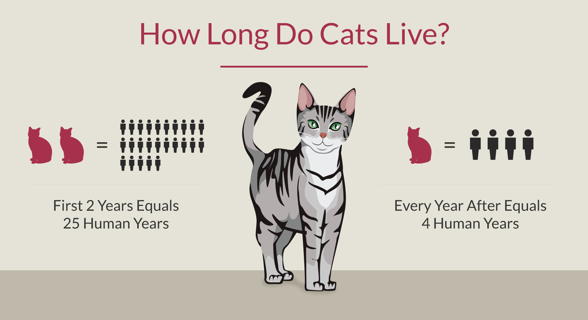 How Long Do Cats Livef3d5 