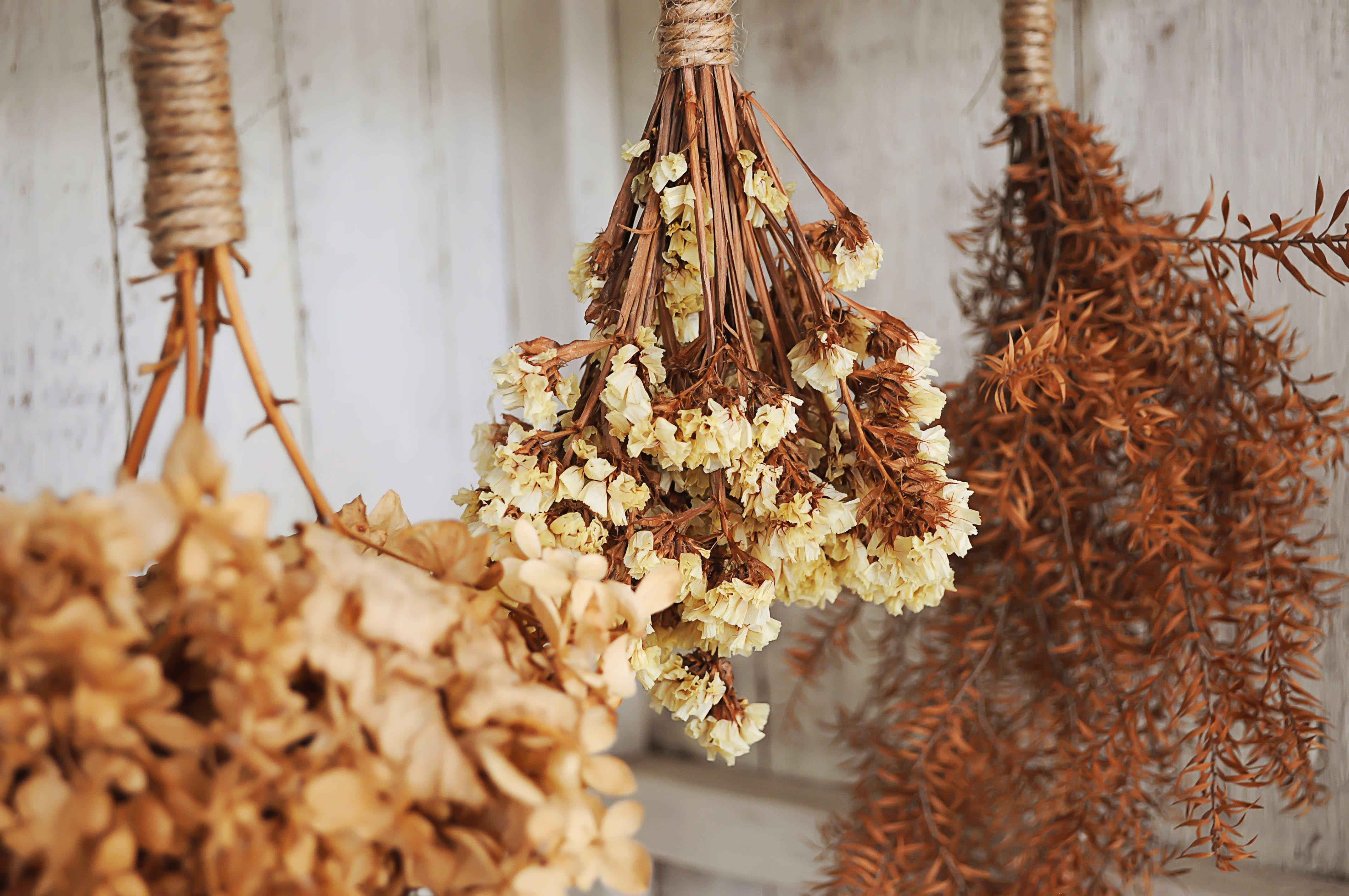 How to Dry Flower Arrangements