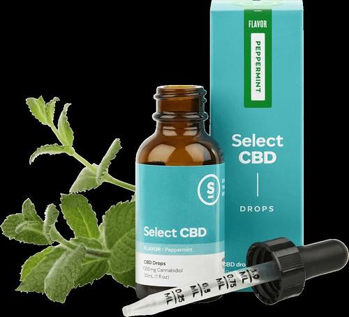 How to Select the Best CBD Oil For Dogs