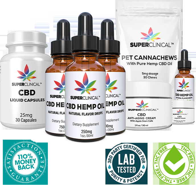 How to Select the Best CBD Oil For Dogs